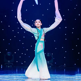 演出服女惊鸿舞长袖 儿童水袖 舞蹈服古典舞采薇舞蹈飘逸成人甩袖