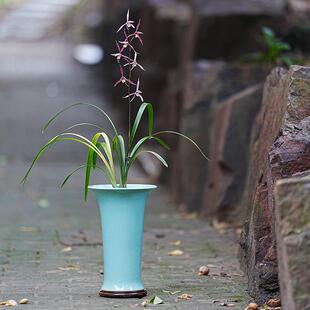 轻奢 国色叁号 紫砂釉盆 寒兰 蕙兰盆