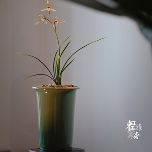 轻奢东门笼香SE原矿老段泥紫砂兰花盆寒兰盆春兰盆莲瓣兰盆引种盆