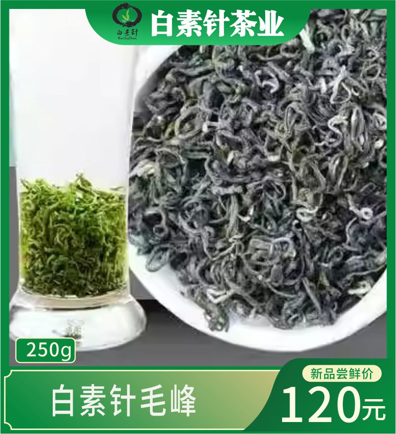 白素针四川峨眉产区马边野生绿茶2024年明前特级毛峰高山云雾茶