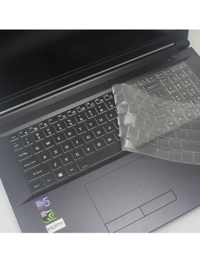 适用七彩虹将星X17ProMAX游戏本 17.3寸笔记本键盘膜电脑屏幕贴膜