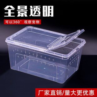 养蚕宝宝专用盒子学生爬虫饲养盒爬宠箱龟缸蚕宝宝蜘蛛角蛙守宫盒