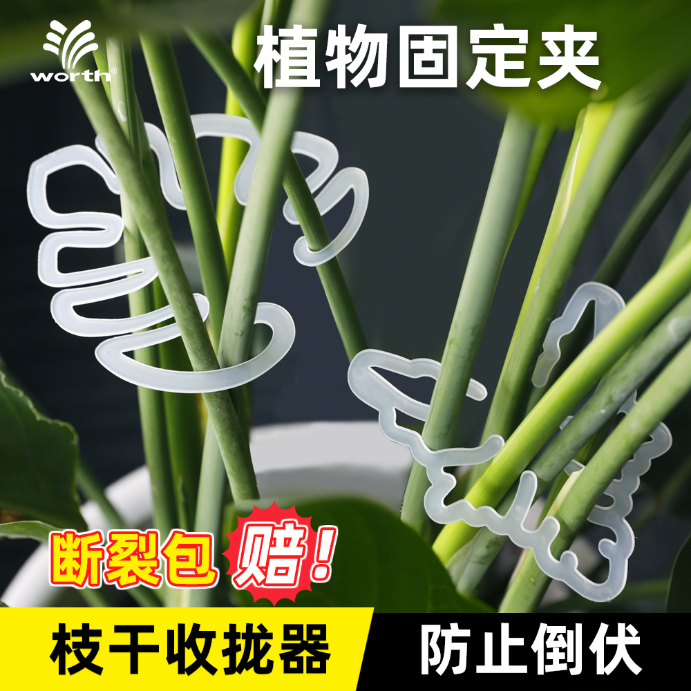 沃施枝干固定器植物花卉支撑架