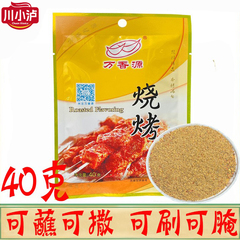 万香源烧烤调味料40g/袋家用小包装烧烤粉撒料腌制飘香粉BBQ刷刷