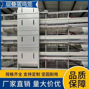 鸡笼 厂家层叠蛋鸡笼小层叠鸡笼自动化养殖三层四层立式