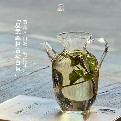 2026易武森林古树白茶200克稀有