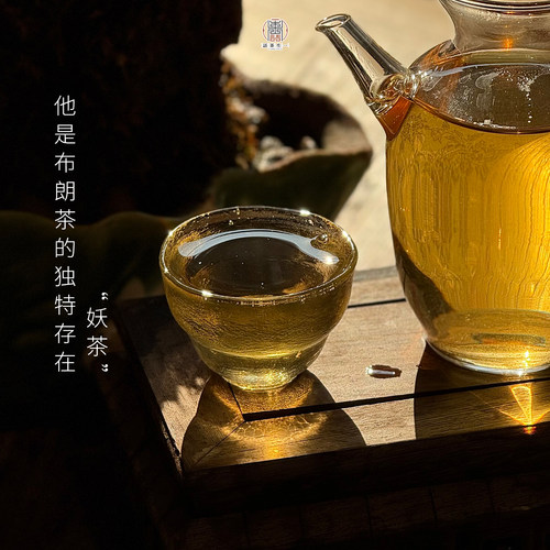 2026广别老寨古树生茶200克