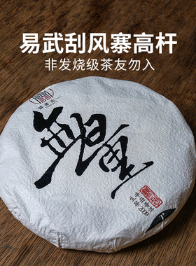 一生茶语 2021易武刮风寨森林高杆古树茶云南普洱茶生茶 饼茶无量