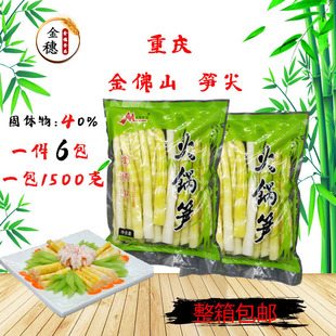 重庆南川方竹笋尖1500*6金佛山新鲜嫩竹笋清水笋串串香火锅食材