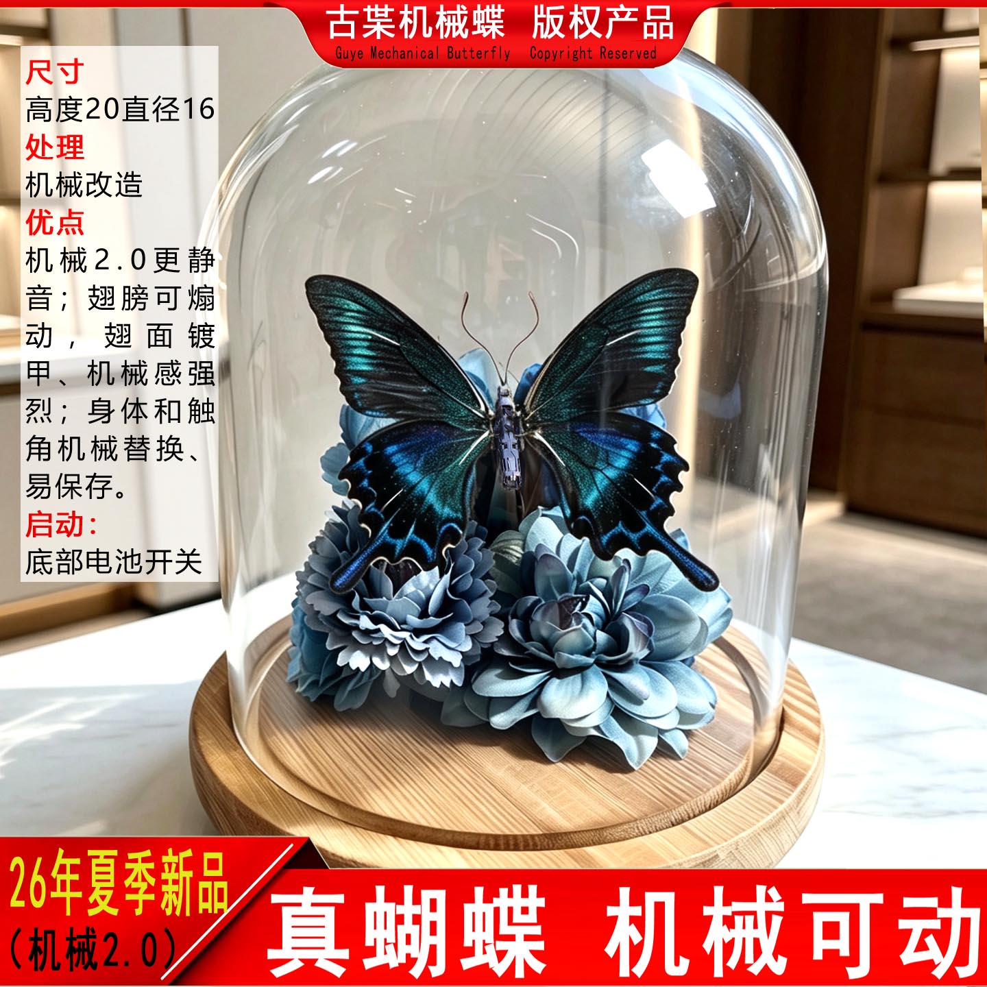 绿带翠凤蝶机械蝴蝶成品真蝴蝶标标本类装饰画