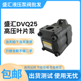RAA 高压叶片泵液压泵DVQ25