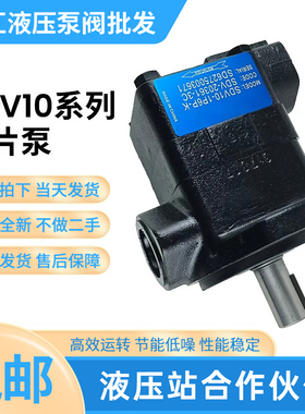 液压叶片油泵SDV10 SDV20液压油泵SDV20-1P7P 1P11P 1B12B-1ABCD