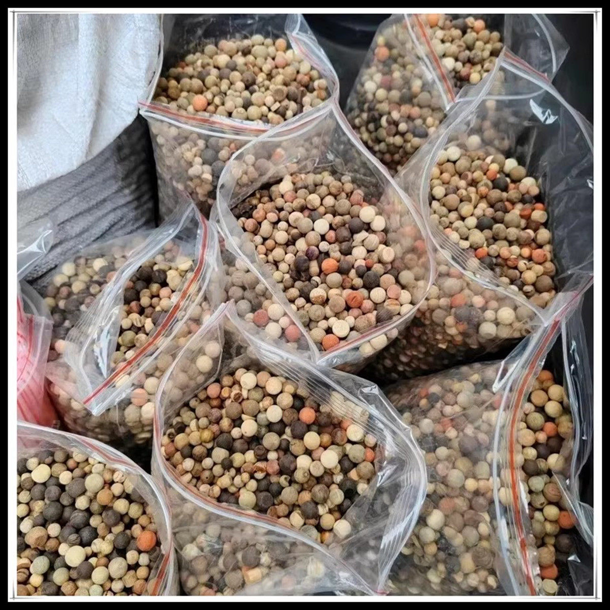 5斤崖柏木非洲檀香木毛坯珠无孔瑕疵处理珠子0.6-1.2散珠枕头佛珠