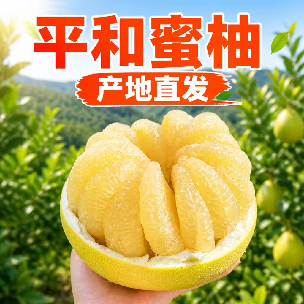 福建平和白金奶糖柚子新鲜水果批发包邮农家自种当季现摘中果爆汁