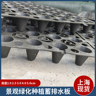 阳台种植绿化蓄排水板景观绿化排水楼顶种菜地板排水疏水上海现货