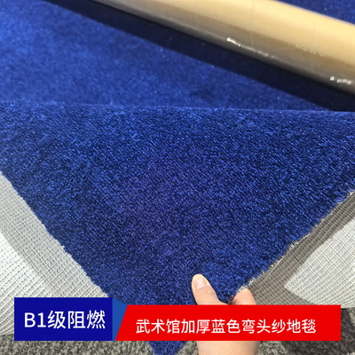 武术馆舞蹈室直播间活动酒店会议室商用丙纶加厚弯头纱满铺地毯