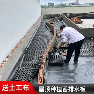 屋顶花园阻根板种植箱隔水网垫花盆底部排水板hdpe塑料排水板现货