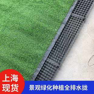HDPE塑料排水板阳台绿化种植有孔园艺设施户外全排水拢3公分高度