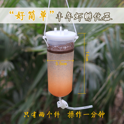 简化版丰年虾卵小型家用孵化器