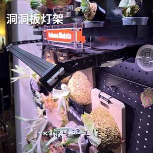 鹿角蕨植物补光灯架洞洞板光轴灯架办公阅读免打孔悬挂式
