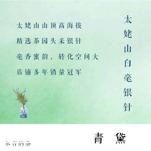 特选高海拔青叶太姥山白茶样板