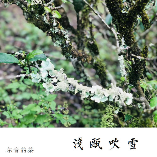 瓯粟创意礼品价格 多少钱