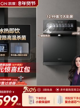 凯度冰泉管线机壁挂式直饮机即热饮水机净水器家用2025年新款KG1
