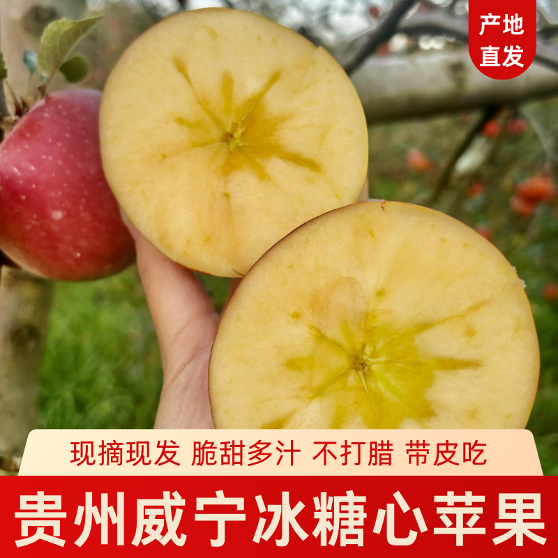 25年新果贵州威宁高原冰糖心苹果脆甜多汁当季新鲜水果现摘现发