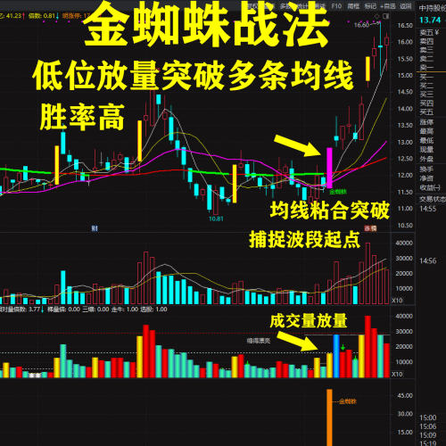 金蜘蛛战法通达信精品指标公式低吸低位放量突破均线捕捉波段起点