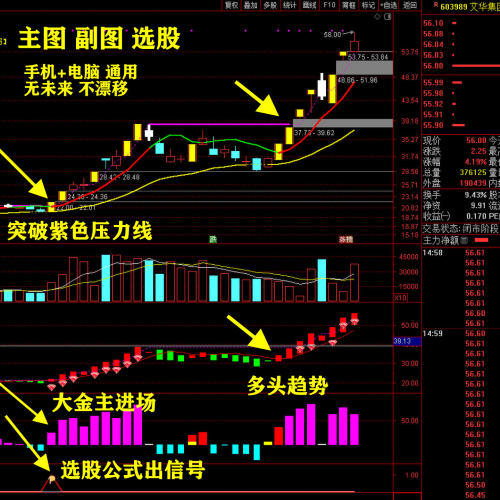 飞天擒龙紫线战法通达信公式