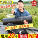 防草布除草布抗老化农用果树果园耐用地布地膜地钉盖草布遮草透水
