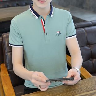 t恤夏季 体恤 男士 保罗衫 polo衫 半袖 2025新款 短袖 高档纯棉翻领男装