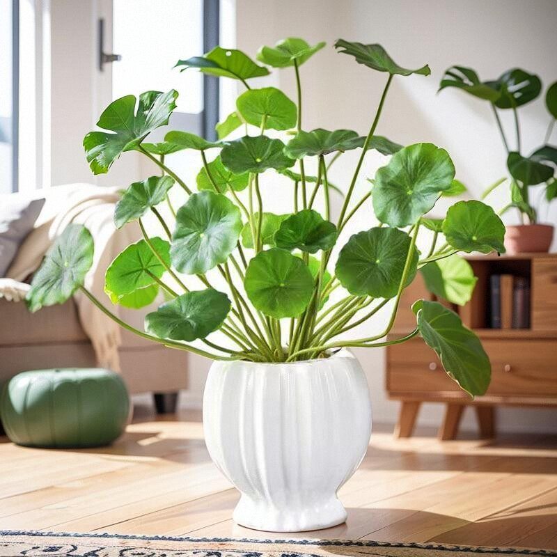 仿真铜钱草小荷叶绿色植物塑料假花 家居装饰品客厅餐厅插花花艺,鲜花速递/花卉仿真/绿植园艺,仿真绿植,淘宝优惠券,粉丝福利购,淘宝优惠卷