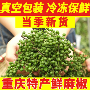 四川特产鲜藤椒特香特麻鲜花椒新鲜生花椒酉阳麻椒家用散装青花椒