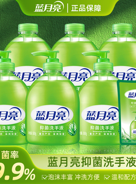 蓝月亮野菊花芦荟清香洗手液手洗家用抑菌袋装补充装绿色500g大瓶