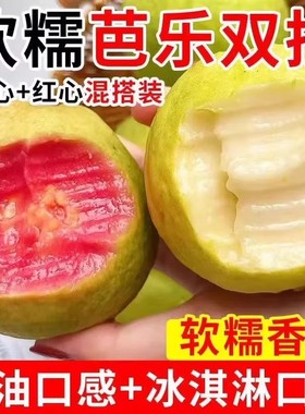 正宗双拼白红奶油芭乐低糖水果番石榴新鲜白心土芭乐软糯香甜5斤