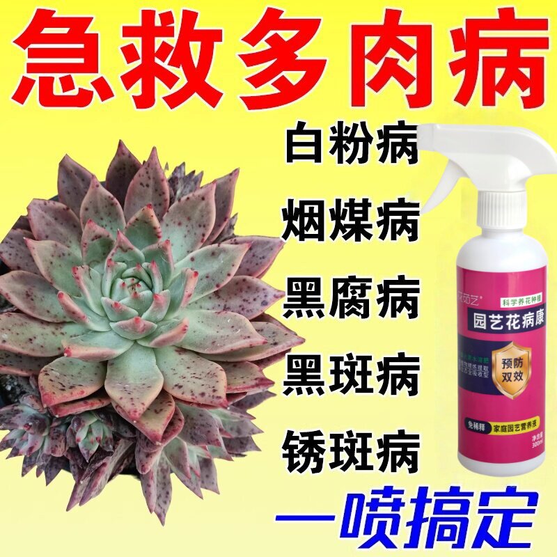 多肉白粉病黑斑病烟煤黑腐病专用杀菌多肉专用肥营养液多肉杀虫剂