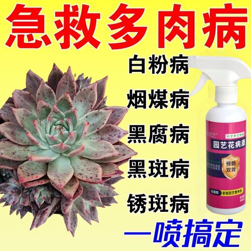 花茹艺多肉专用杀菌抑菌营养液