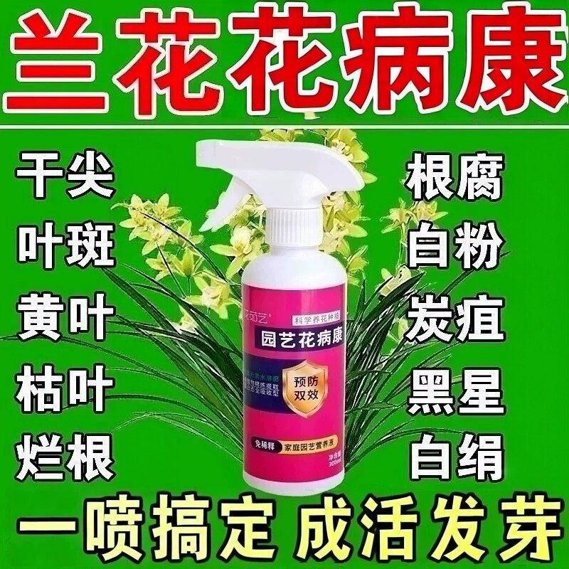 兰花专用杀菌药治黑斑病专用叶子发黄叶焦尖根腐防菌叶康灵营养液图片
