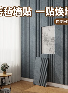 客厅背景墙装饰高级感3d立体毛毡墙贴装饰遮丑室内装修护墙板自装