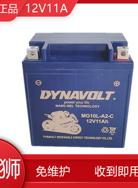 猛狮摩托车电瓶12V10L-A2望江GN250雅马哈XV250力帆V16电池12V11A