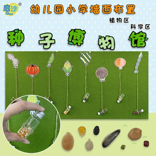 幼儿园启汐科学区种子博物馆