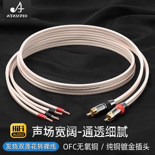 ATAUDIO双莲花转裸线功放机音箱