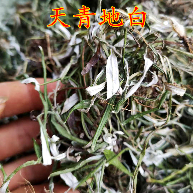 天青地白草药上青下白绿新鲜天然晒干散装翻白草中药材250克包邮