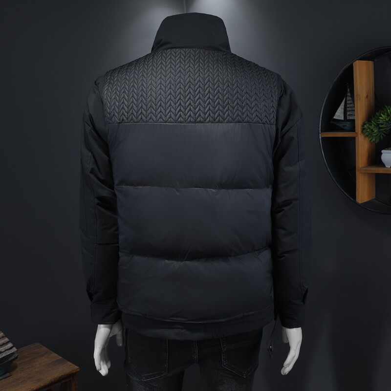 冬季白鸭绒羽绒服男士潮流时尚休闲外套钱塘6025Y101P280,男装羽绒服,钱塘6025
