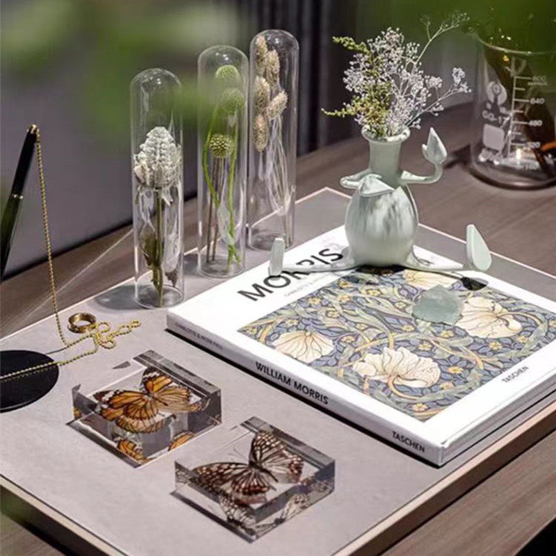 现代样板间工作室书房软装试管干花标本蝴蝶摆件书桌托盘套装饰品