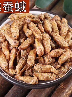 雄蚕蛾中药材500克去头去足去翅膀蚕蛾纯雄蚕蛾泡酒男雄蚕蛾批发