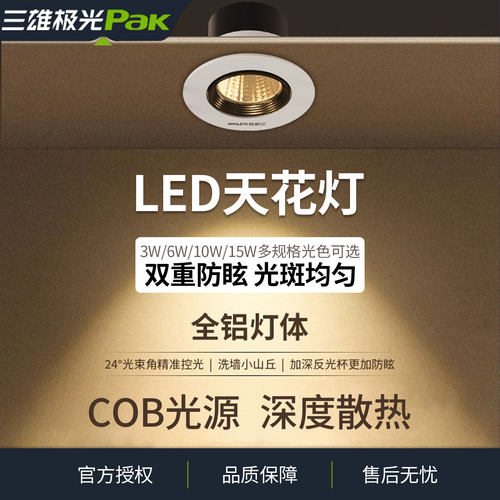 三雄极光星晨LED天花射灯服装店