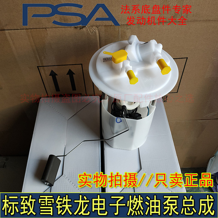 马牌标致雪铁龙电子燃油泵总成