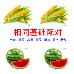 相同配对水果蔬菜动物基础配对卡片自闭症训练教具ABA认知卡全套